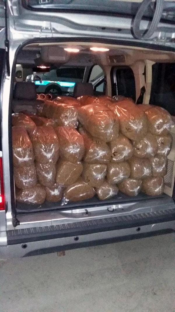 Kamyonette 500 kilo kaçak tütün ele geçirildi