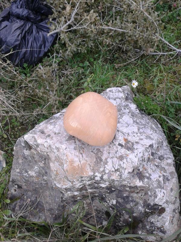 Milas'ta toprağa gömülü 30 kilo esrar ele geçirildi