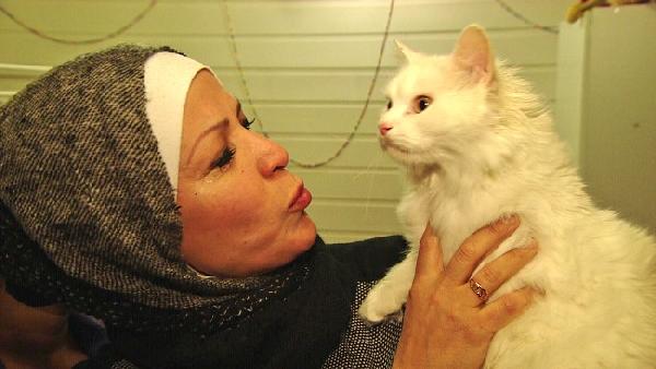 Sığınmacı kedi ailesine kavuştu