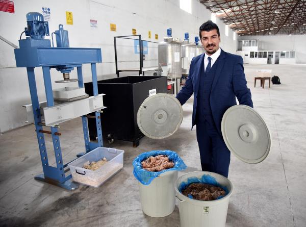 Yengeç ve karides kabuğu kanı durduracak