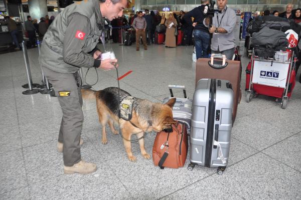 Havalimanında bomba dedektör köpekleri görev başında
