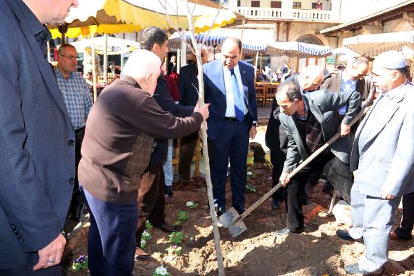 Şanlıurfa'da tarihi handa kesilen ağaçların yerine fidan dikildi