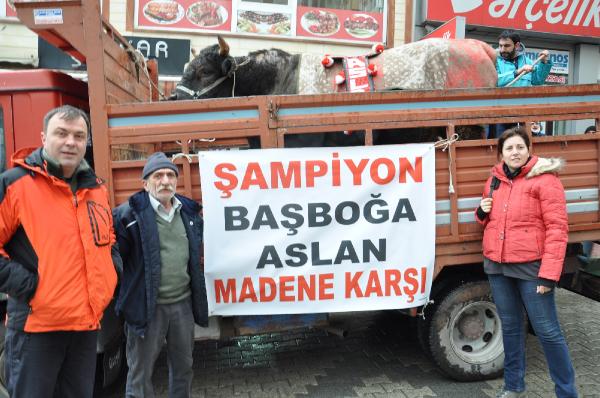Artvin Orman İşletme Müdürlüğü’nden Cerattepe’de ağaç kesimine suç duyurusu (4)