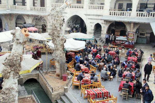 Şanlıurfa'da tarihi handa ağaçların kesilmesine tepki
