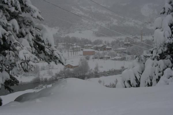 Ordu'da kar nedeniyle 11 ilçede okullar tatil edildi