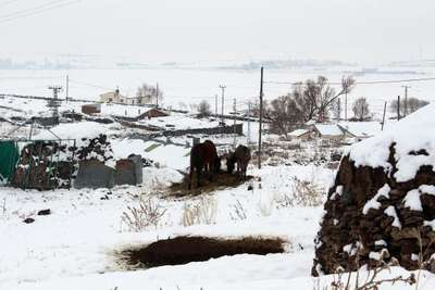Erzurum'un Tekman: -24,5
