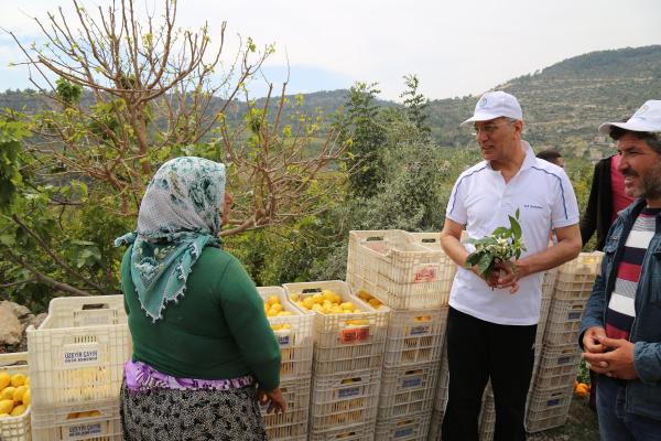 Cerattepe direnişçilerine, biber gazına karşı Mersin'den limon