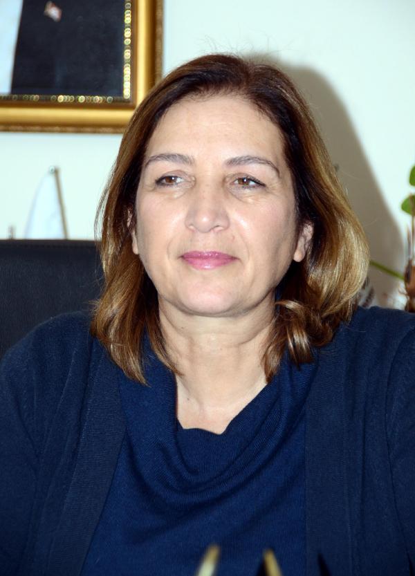 Bodrum'da yabancıya konut satışı iddialarına Ak Parti'den cevap