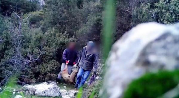 Yaban keçisini vuran kaçak avcılar fotokapana yakalandı