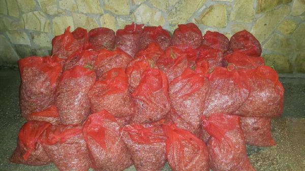 Edirne’de 700 kilo kaçak midye ele geçirildi