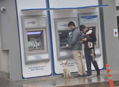 Liseli kızlar sokak köpeğini sütle besledi