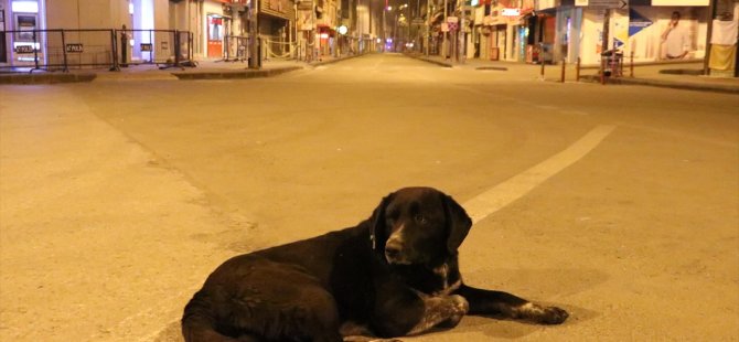 31 ildeki 4 günlük sokağa çıkma kısıtlaması başladı