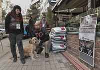 Konser bileti yerine kedi-köpek maması