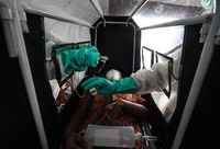 Ebola salgını 2015'te de devam edecek