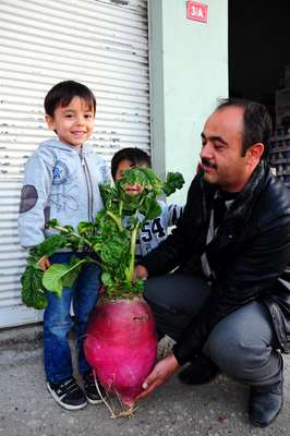 Kadirli'de 10 kiloluk turp şaşırttı