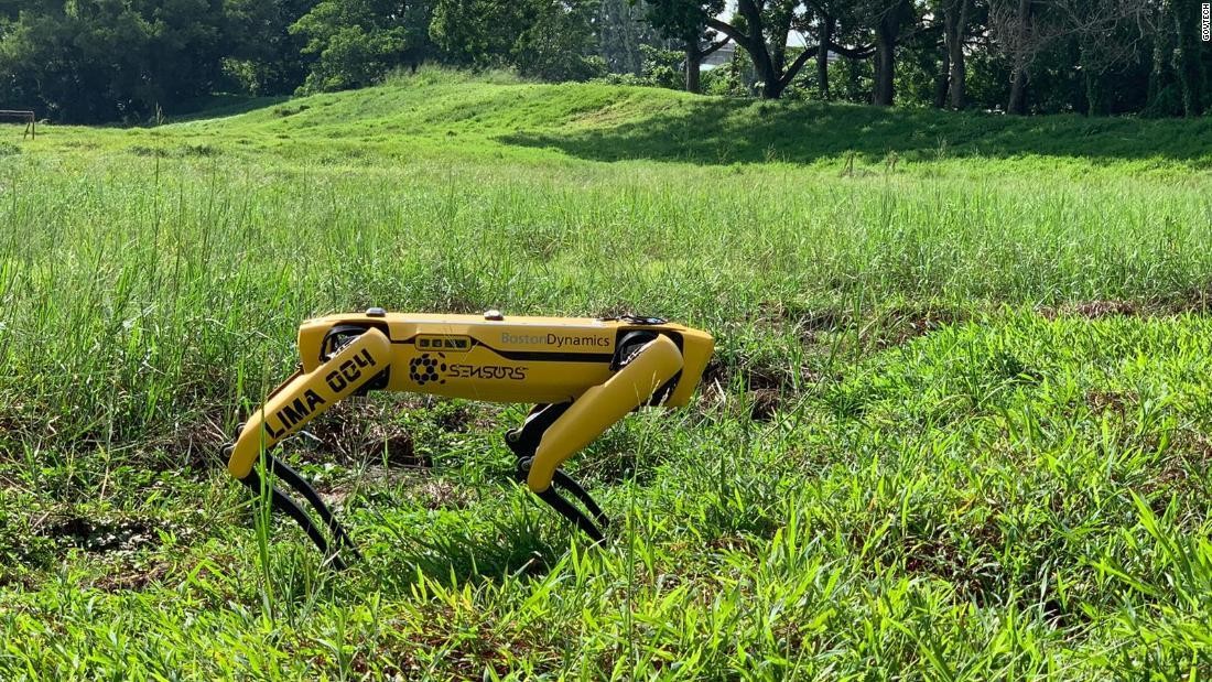 Koronaya karşı “robot köpek” önlemi