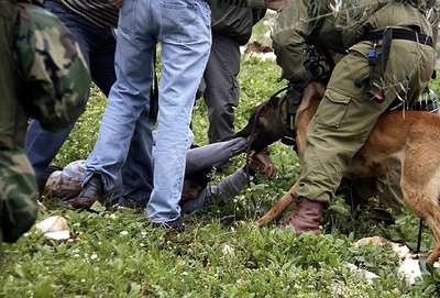 Köpekli işkenceye soruşturma açıldı