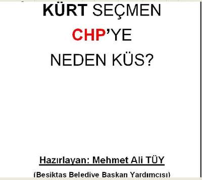 'Kürt seçmen CHP'ye neden küs?'