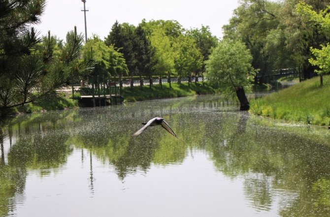 Hava kirliliği yüzde 20 azaldı
