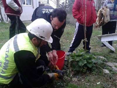 Sıkıştığı borudan kurtarılan yavru kediye şırıngayla süt verildi