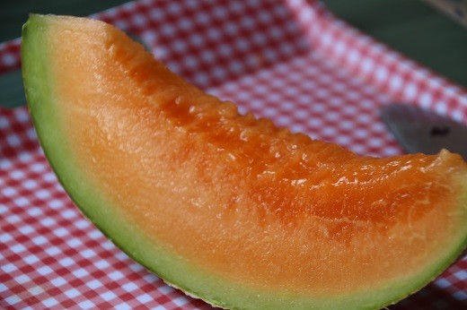 2 kavun bin avroya satıldı