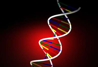 80 kişinin DNA'sı ayırt edildi