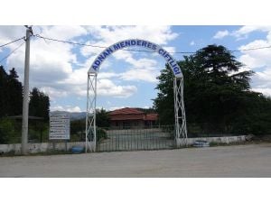 Menderes'in Hatırası, Hayalini Kurduğu Yerde Yaşatılacak