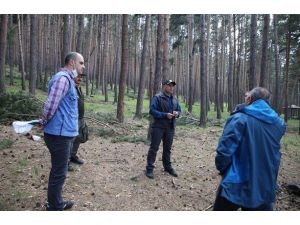 Erzurum Bölge Müdürü Ayatay, Ardahan Orman İşletme Müdürlüğünde incelemelerde bulundu