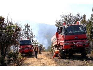 Bölge Müdürü Keskin, orman yangınları konusunda vatandaşları uyardı