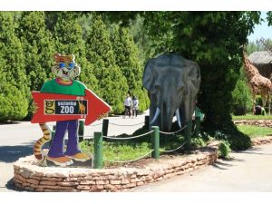 Gaziantep Hayvanat Bahçesi 2,5 ay sonra kapılarını ziyaretçilere açtı