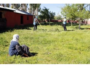 Mürvet Nine'nin Bahçesindeki Otları Vefa Ekibi Biçti