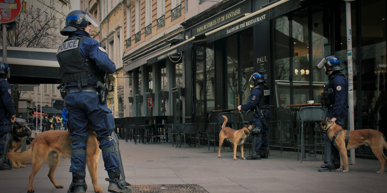 Alman ordusundan köpeklere koronavirüslü insanları tespit eğitimi