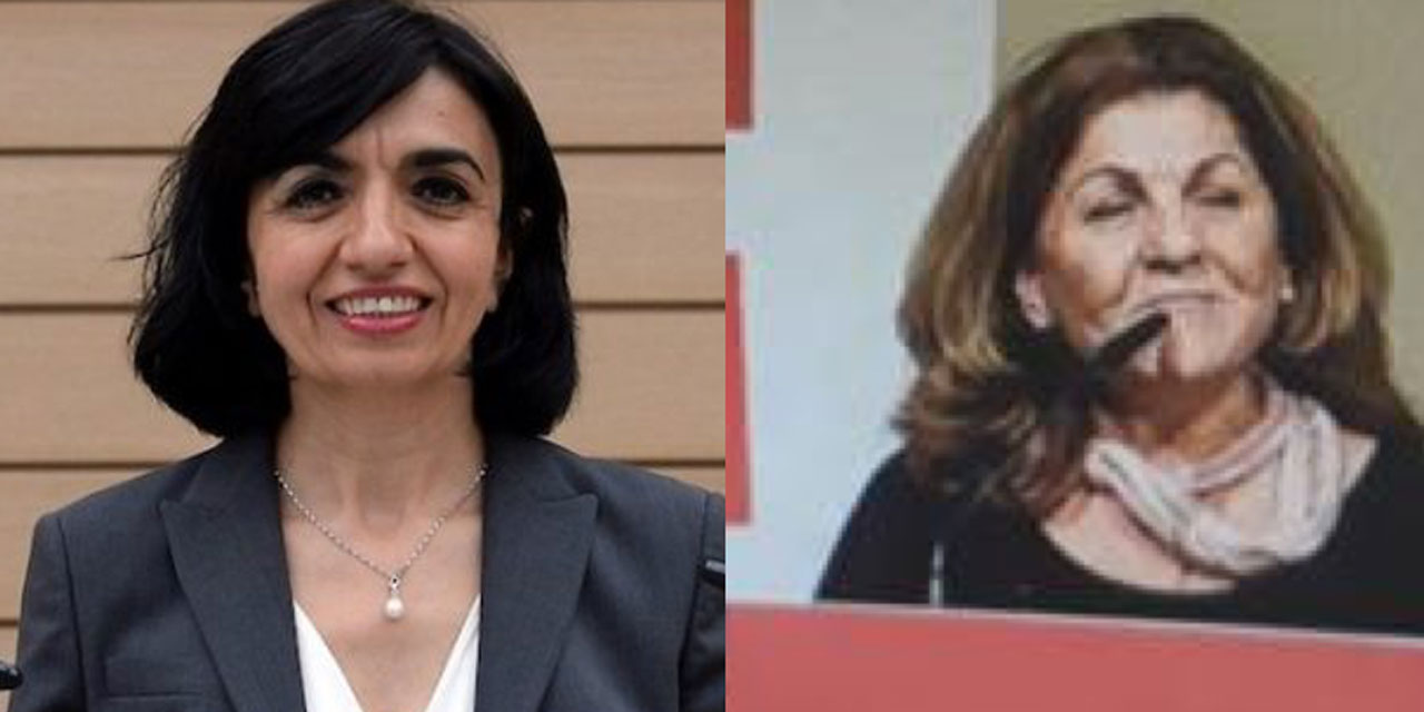 Baden-Württemberg eyalet meclisi seçimleri: Aras ve Karlıklı ‘nın adaylığı kesinleşti
