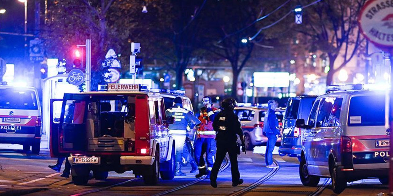 Avusturya istihbaratında tuhaf kopukluk: Teröristin mermi alma girişimi biliniyormuş