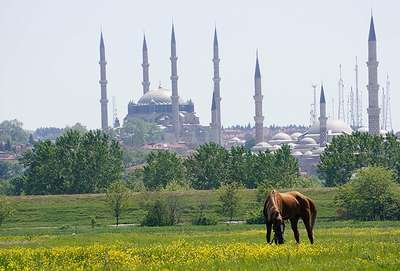 Başıboş atlara 5 bin lira maaşlı çoban