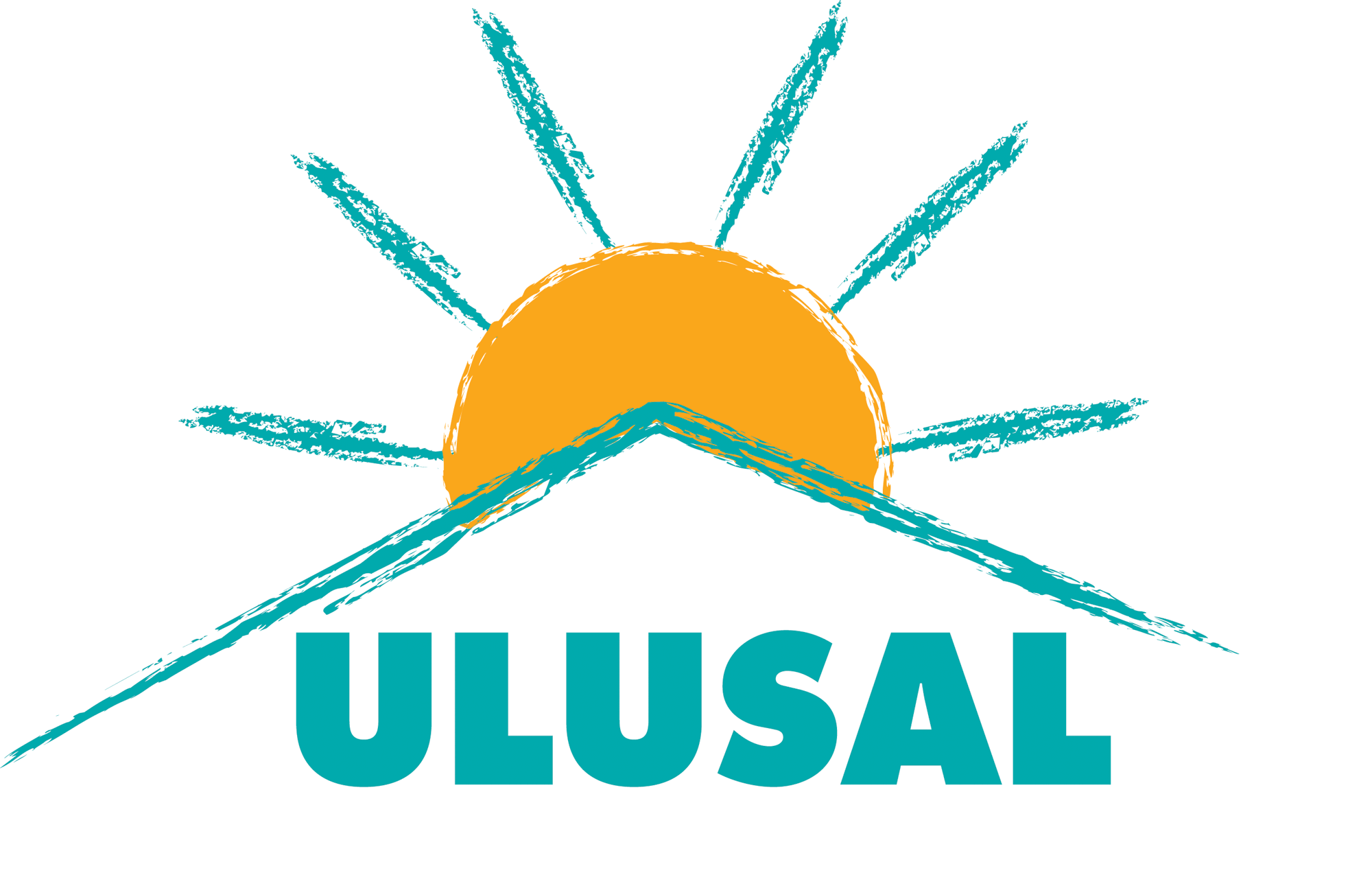 Ulusal Parti Genel Başkanı'na gözaltı