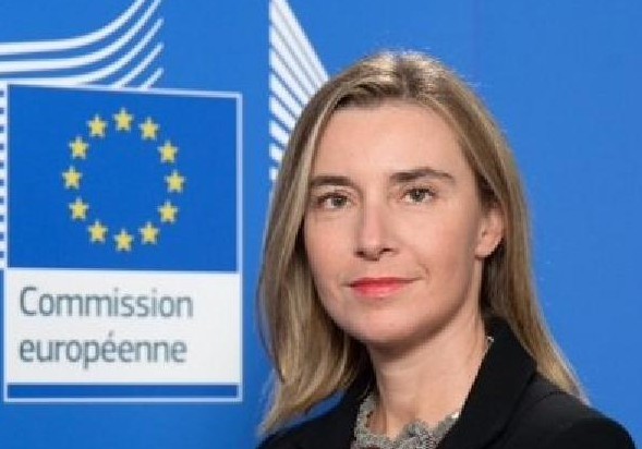 'Kosova kurmazsa BM kurar'