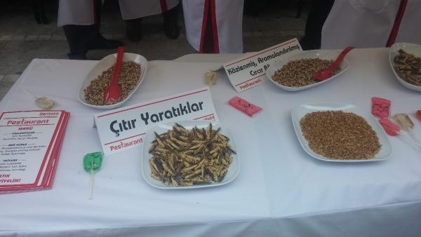 'Midemde canlanır diye korkuyorum'