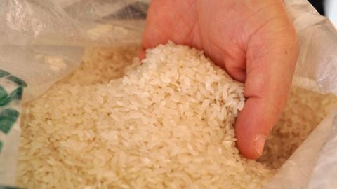 Tayland’da çözülemeyen pirinç krizi