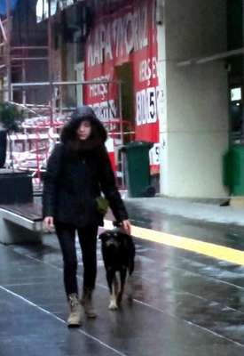 Sokak köpeği kendisini seven öğrencinin peşinden gitti