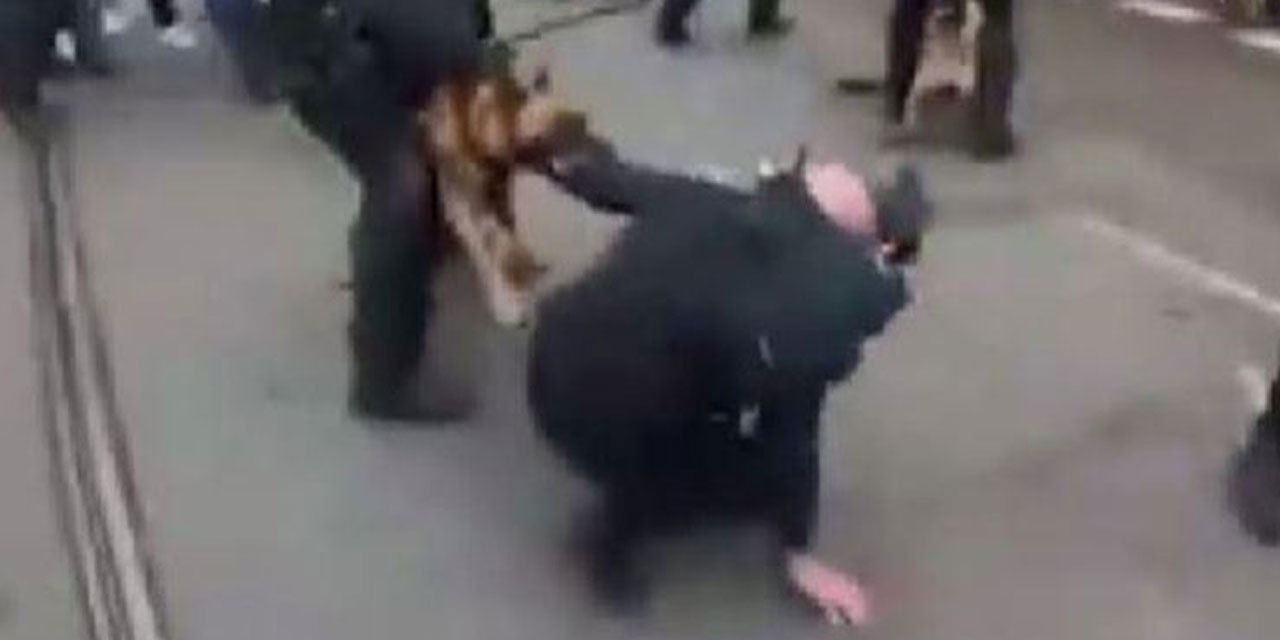 Hollanda polisi protestocuların üzerine köpek saldı