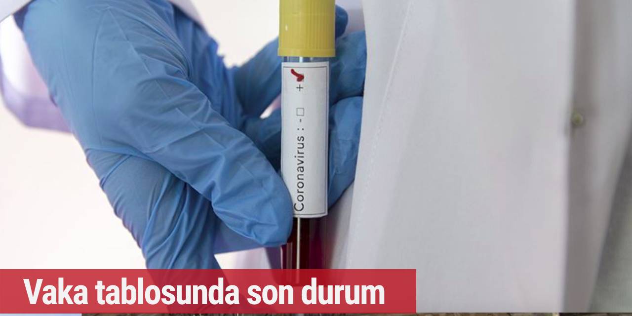 Almanya'da 14 Ocak vaka tablosu