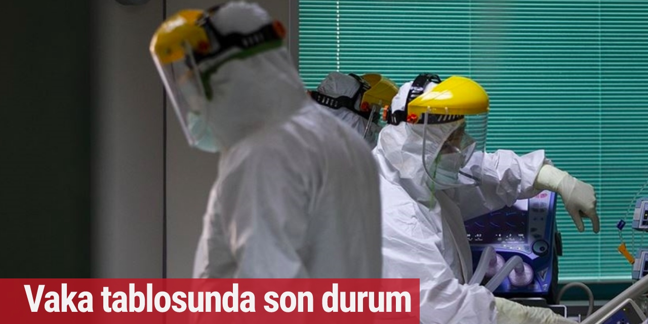 Almanya'da 15 Ocak vaka tablosu