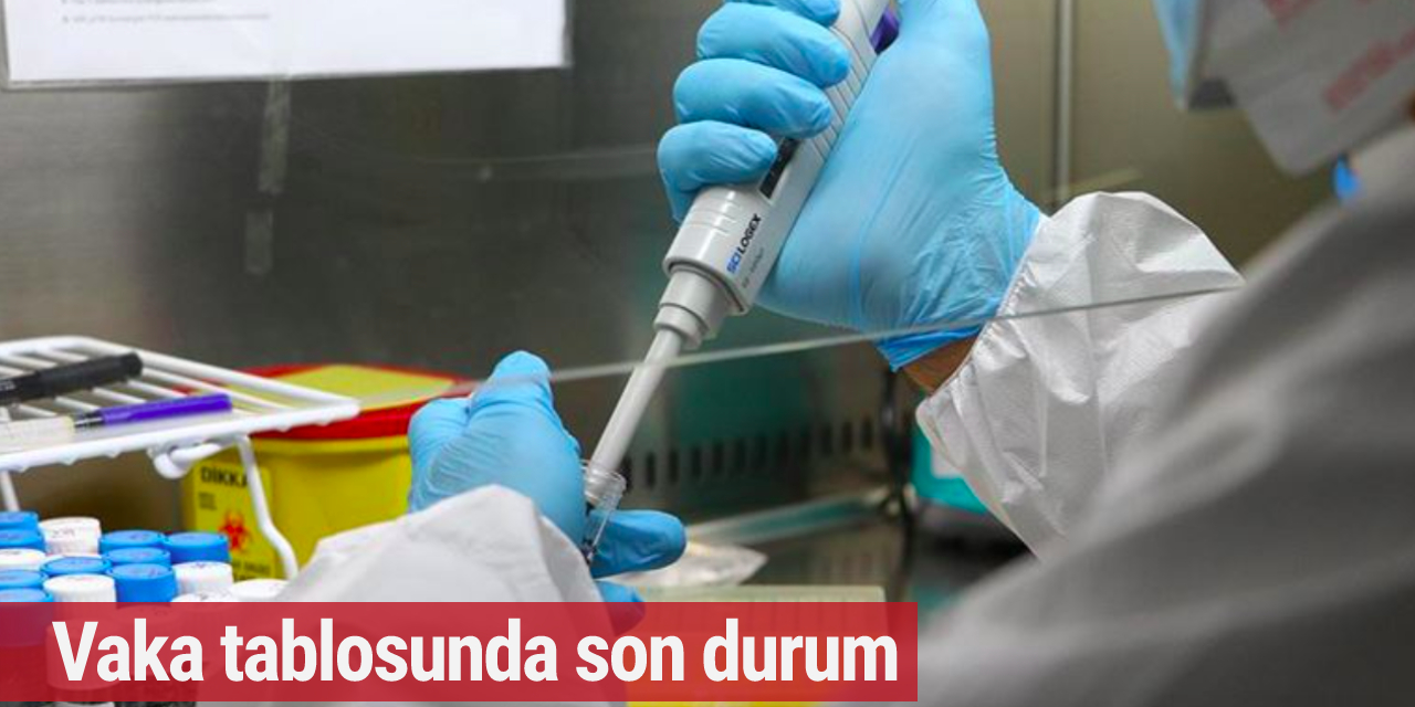 Almanya'da 19 Ocak vaka tablosu