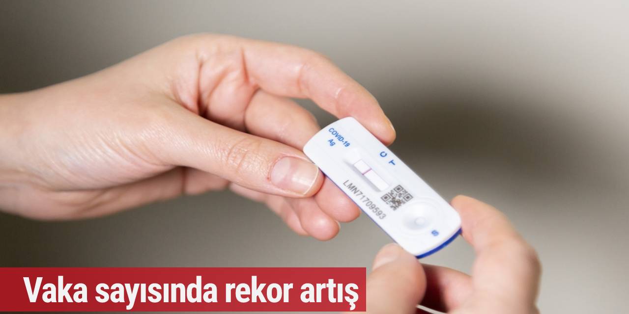 Almanya'da 28 Ocak vaka tablosu