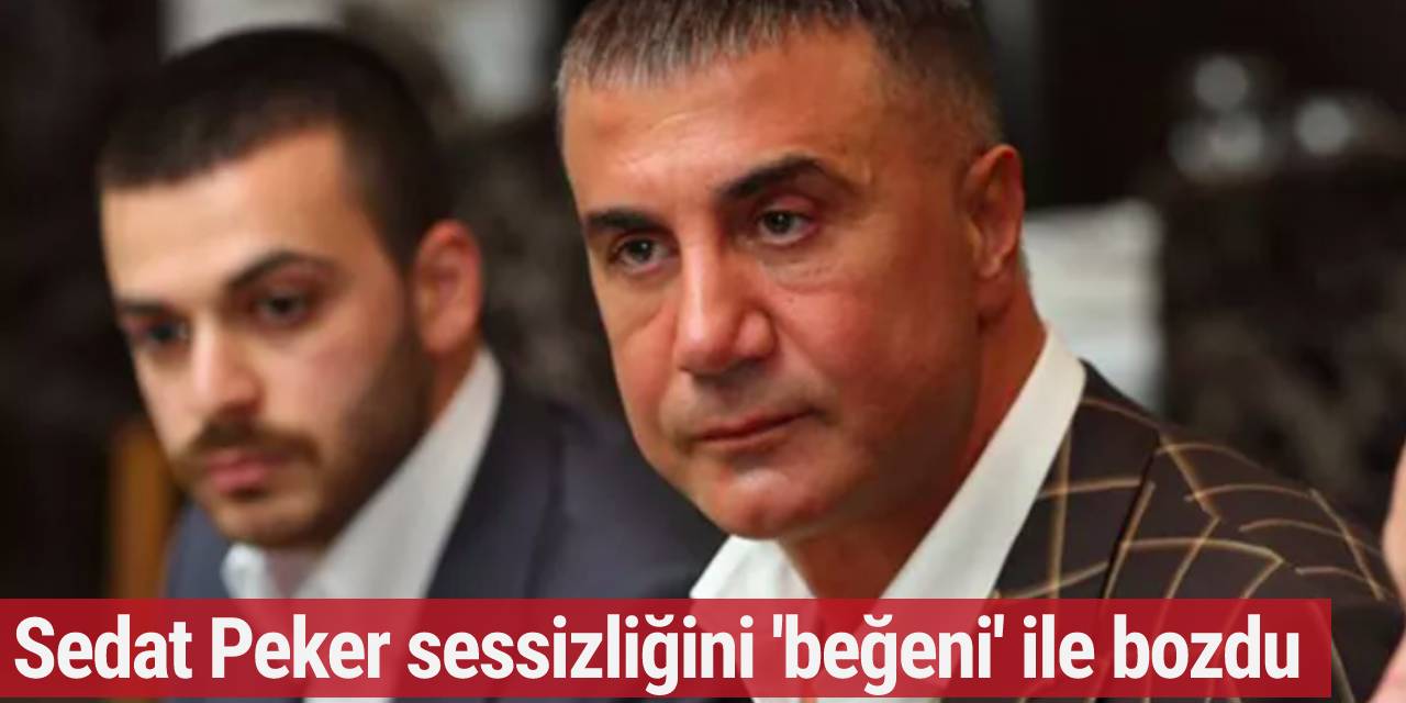 Sedat Peker'den uzun süre sonra Twitter'da ilk etkileşim