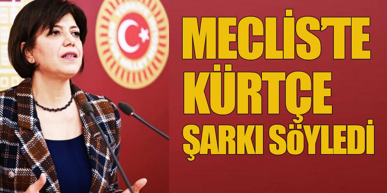 Meral Danış Beştaş, Meclis'te Kürtçe şarkı söyledi!
