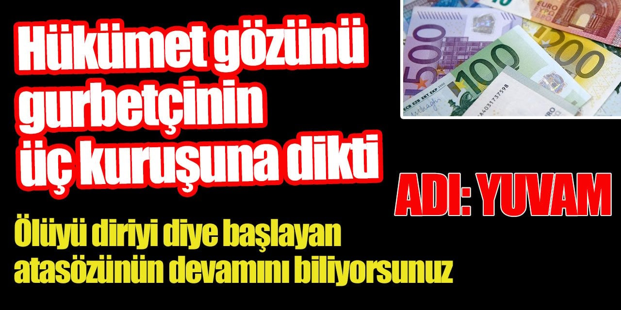 Yastık altı paralarda sıra yurt dışı Türkler’de