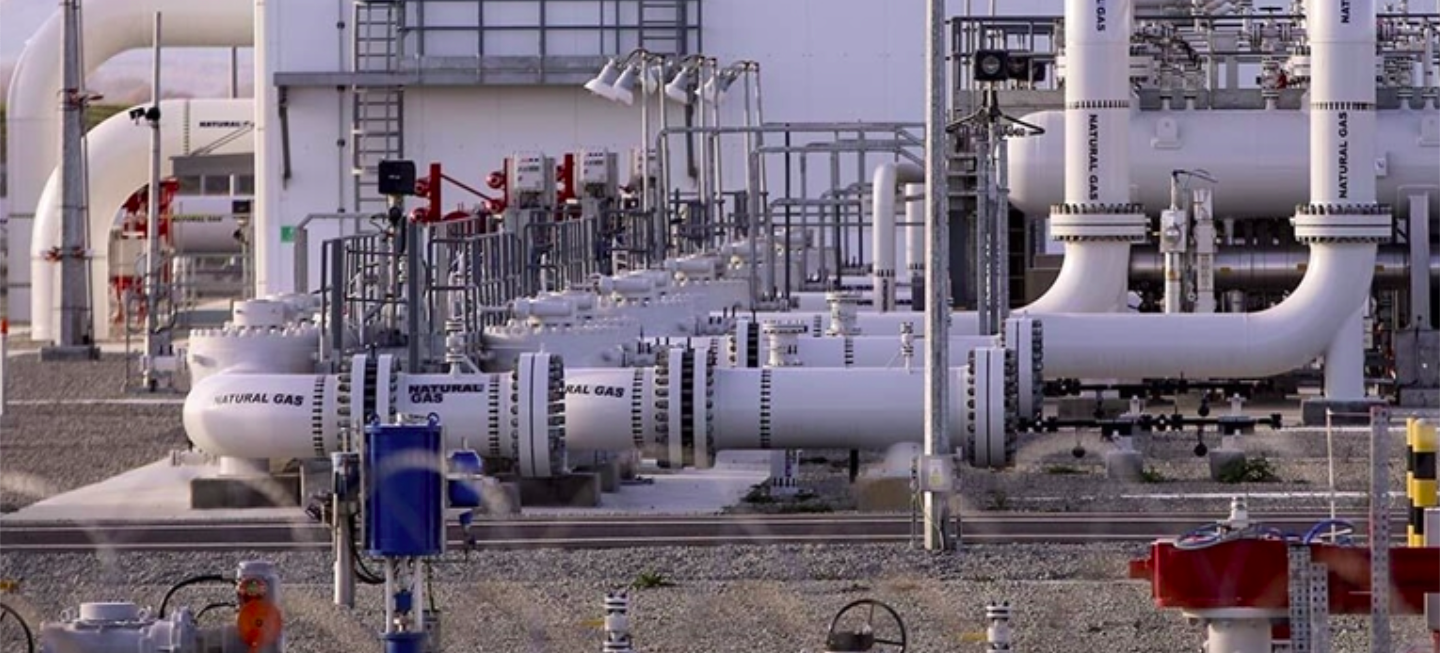 Almanya AB'nin "yeşil enerji tanımına" karşı