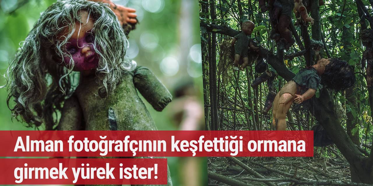 Kimsenin girmek istemeyeceği ormanlık alanı Alman Fotoğrafçı keşfetti